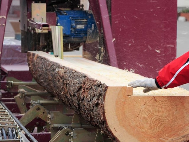 Tipos de madera que trabajamos en nuestro aserradero